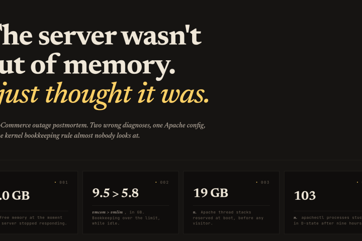 The server wasn't out of memory. I just thought it was.